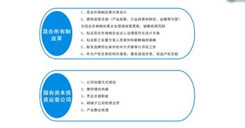 國(guó)企改革咨詢服務(wù) 助力企業(yè)轉(zhuǎn)型的信息支撐